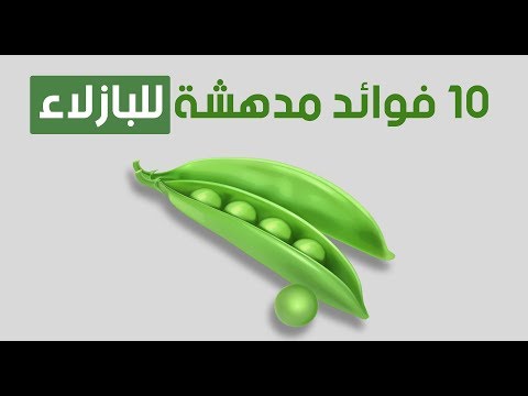 فيديو: معلومات قصف البازلاء - تعرف على أنواع مختلفة من قصف البازلاء