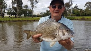 Bream Fishing Maribyrnong River Jetty on Melbourne Cup day