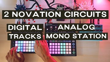 043▶️ Circuits (Novation Circuit Tracks // Circuit Mono Station + Bigsky + Walrus Audio Julianna)