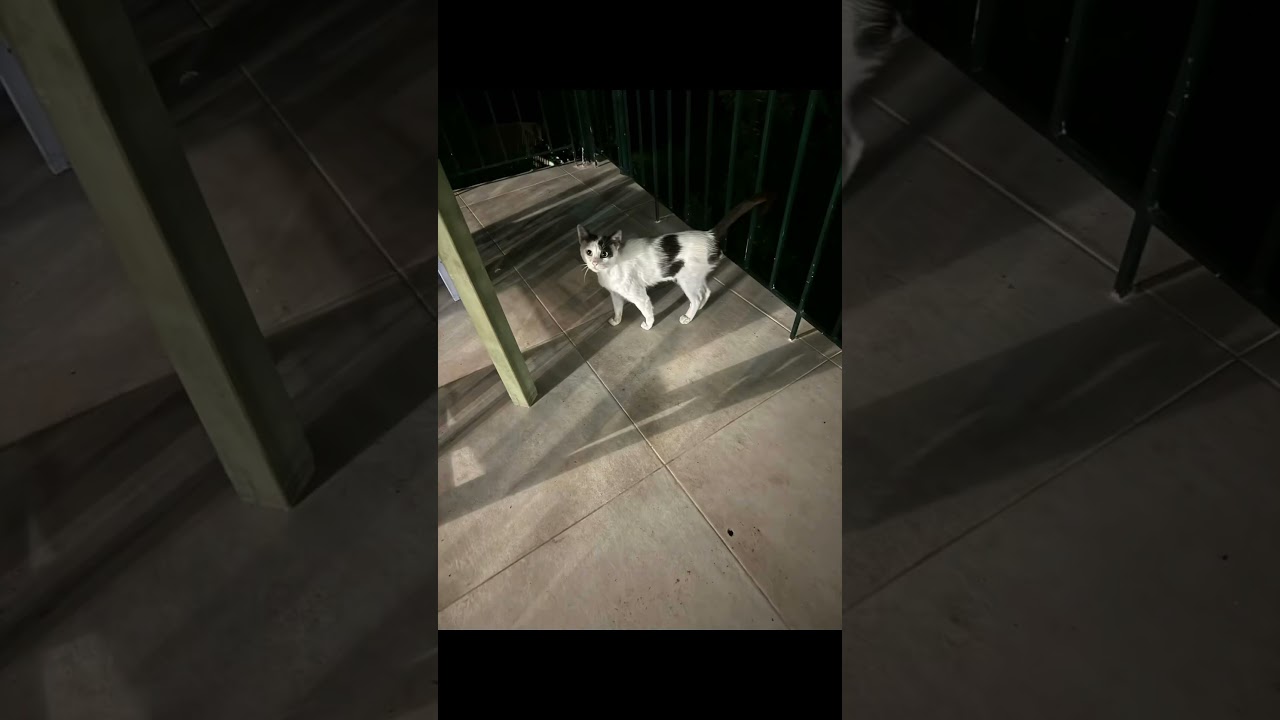 What summer in Greece is really like. 🇬🇷 