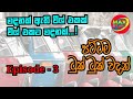 පට්ටම ටුක් ටුක් වදන් ! Tuk Tuk wisdoms- Episode 03 | Max Tv Lanka