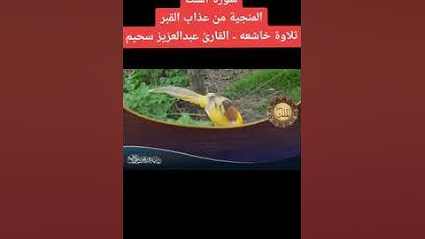 سورة الملك المنجية من عذاب القبر اقرأها قبل النوم