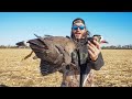 Extremely RARE HYBRID BIRD Shot on Opening Day in Kansas!! Halloween Hunt