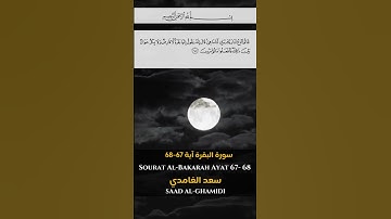 سورة البقرة آية 67- آية 68  Sourah al Bakarah Ayat 67-68#quran