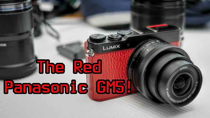 The Red Panasonic GM5 - 2023 Review