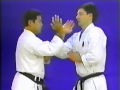 Goju-Ryu Kakie (Push Hands) pt 1