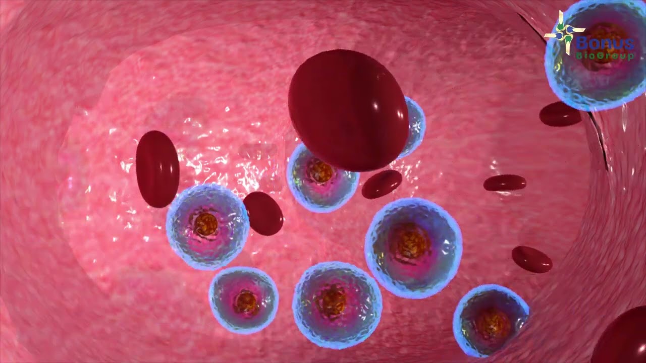 Still from the MesenCure scientific explainer