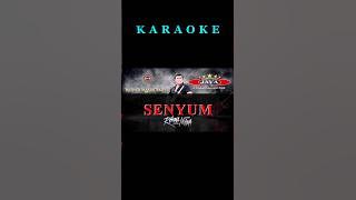 Lagu ter naru Rhoma Irama Senyum #rhomairama #dangdut #karaoke #dangdutkaraoke