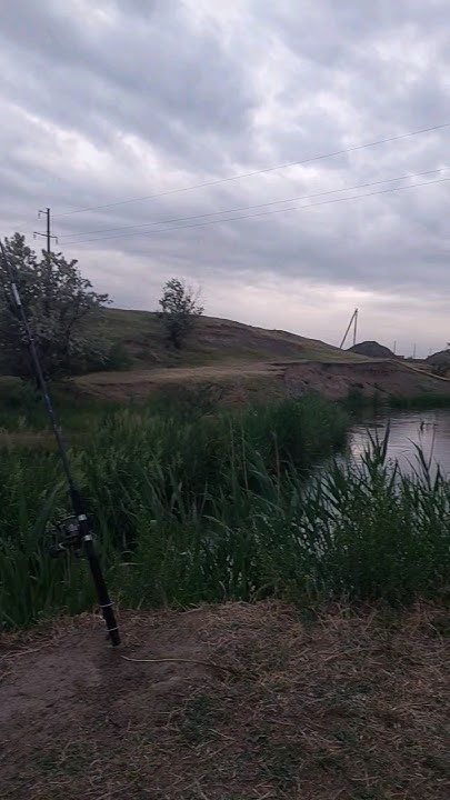 САРЫ-СУ #fishing #carpfishing #карп #carp #река #сазан #fish - YouTube