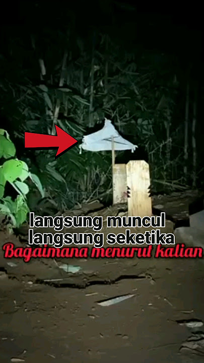 APA INI YANG GERAK GERAK!!