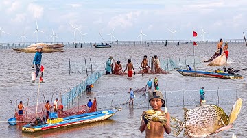 Độc Đáo Nghề Cắm "Thẹ" Trên Biển Bãi Bồi | Trở Lại Chợ Bạc Liêu Sau Gần 2 Năm