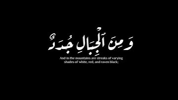 (الم تر ان الله انزل من السماء) | سورة فاطر | ياسر الدوسري #krumat #كرومات #شاشه_سوداء #quran