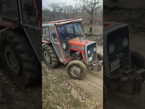 Massey 240s kafa