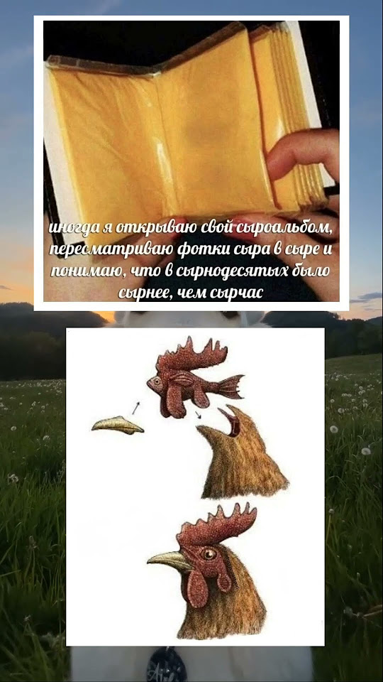 МЕМЫ #рекомендации #мем #юмор #мемы #угар #рофл #курица #кухня #сыр ...