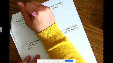 Module 1 Lesson 17 Problem Set