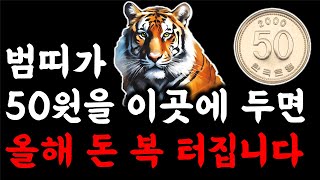 호랑이띠 부자 됩니다 부자가 되고 싶다면 50원 동전 이곳에 두세요 큰돈이 들어옵니다 2024년 대박 호랑이…