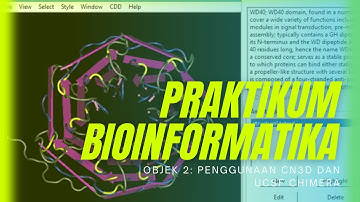 Praktikum Bioinformatika | Pemodelan Protein dari database NCBI dan RCSB PDB