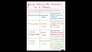 🚨🎯Types of bonds in polymers|glycosidic|Peptide & Ester bond|#neet#biology#shorts#ytshorts#viral