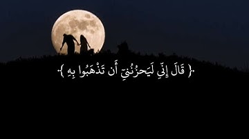 قَالُوا يَا أَبَانَا مَا لَكَ لَا تَأْمَنَّا عَلَىٰ يُوسُفَ وَإِنَّا لَهُ لَنَاصِحُونَ(11)/سورة يوسف