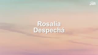 Rosalía - Despechá Tradução Letra
