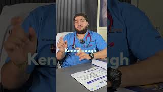 That cough isn’t just a tickle — it could be Kennel Cough.