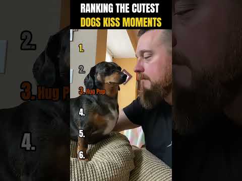 RANKING THE CUTEST DOGS KISS MOMENTS 🐶💋 | Heart Melting!