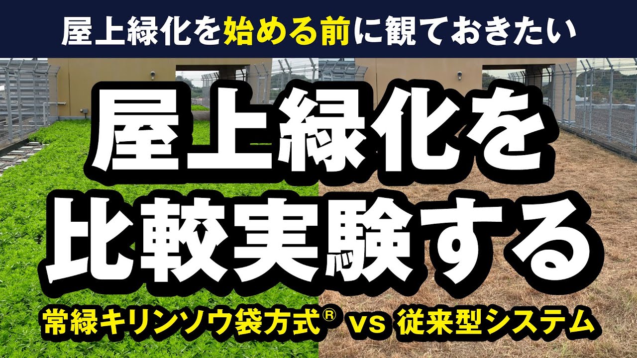 屋上緑化で失敗するリスクを減らす「常緑キリンソウ袋方式®」ガイアの夜明けで紹介されました。