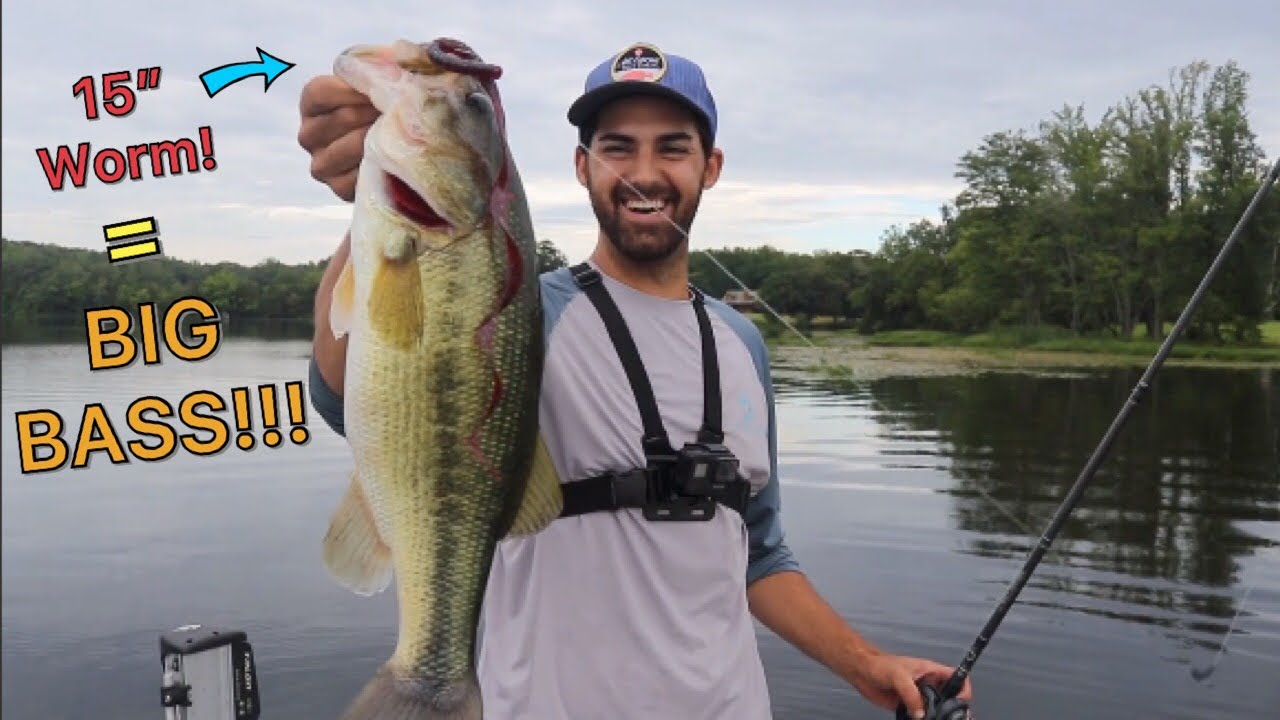 MASSIVE 15″ Worm Catches BIG BASS!!! (Brand New 6th Sense Rod Reveal!!!)