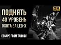 Поднять 40 уровень и охота за Led-X • Escape from Tarkov №31 [2K]