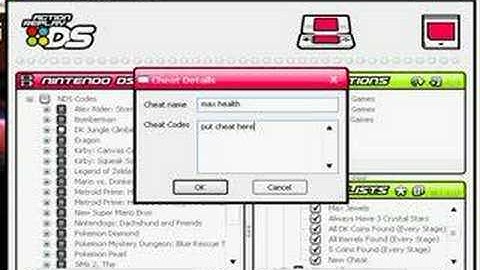 How to load cheats onto you ction replay ds