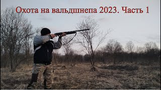 Охота на вальдшнепа 2023 (часть 1)-открытие охоты