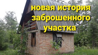 Преображение нашего участка за 4 года(2018-2021г)Продолжение следует....