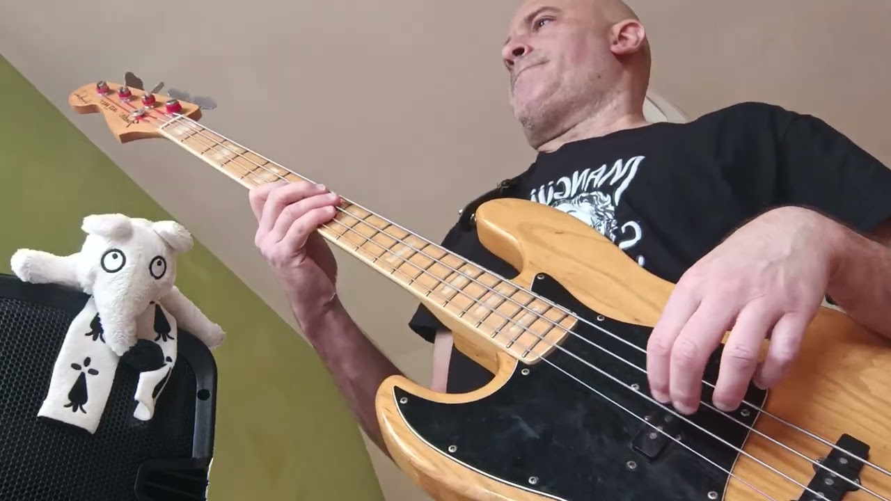 GALWAY HILLS bass cover (Gwendal, Joe Can`t Reel, 1975)