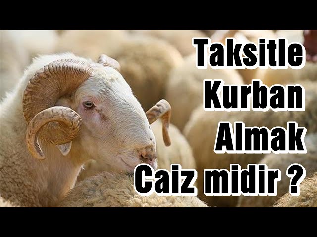 TAKSİTLE KURBAN ALMAK CAİZ MİDİR ? | Vaiz Ali ÖZDEMİR