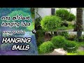 easy garden Hanging Balls | വളരെ ഈസിയായി ചെയ്യാവുന്ന ഹാങ്ങിങ്ങ് idea ഹാങ്ങിങ്ങ് ബോൾസ്