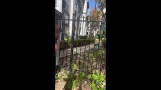 Deadly Shooting Following A Robbery Attempt