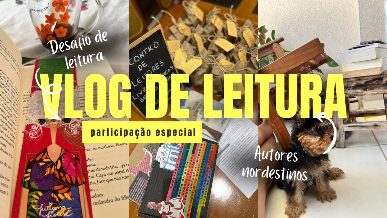 Li um livro indicado por uma booktuber (desafio: autores nordestinos)