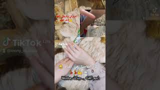 مقشر فوت foot spray  المقشر الكورى الفورى لكل الجسم