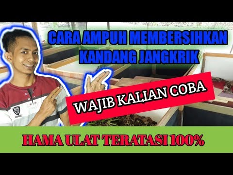 Video: Cara Membuat Sel Suria di Rumah: 12 Langkah (dengan Gambar)