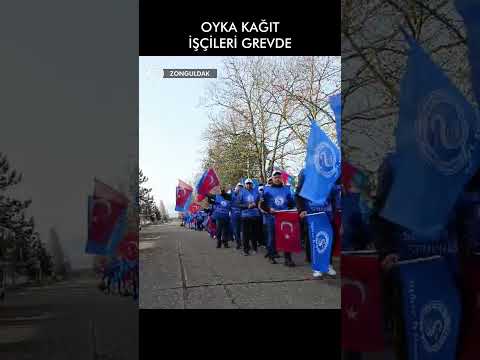 Selüloz-İş üyesi OYKA işçileri greve çıktı: Sadaka değil toplu sözleşme istiyoruz!