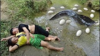 Survival Skills: Find Fish Meet Big Catfish And Eggs For Survival - Catch Fish With Eggs