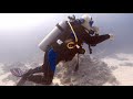 Scuba diving  red sea  part 3