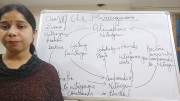 Class VIII Science 20 04 2021 by Ms Mridulata Upadhyay Chapter 2 Microorganisms