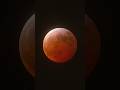 рџ Ґ I Used This MASSIVE Lens To Capture The Blood Moon Total Lunar Eclipse рџ Ґ I Used This MASSIVE Lens To Capture The Blood Moon Total Lunar Eclipse