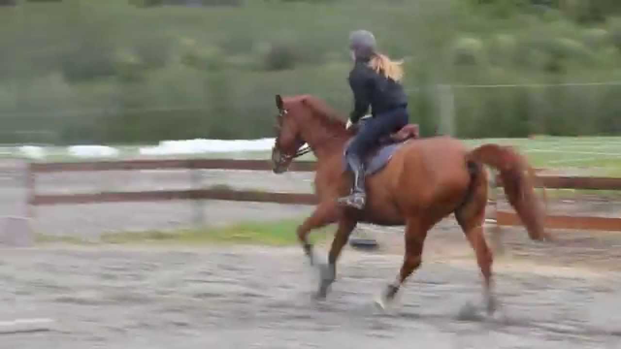 Sprangridning 27.05.15