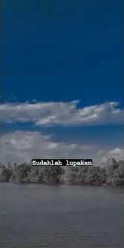 Status Wa ~ Sudahlah Lupakan (Story Wa)