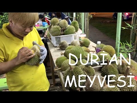 Video: Durian Hakkında Biraz