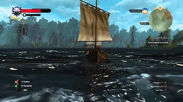 Free Fall Bug in Witcher 3