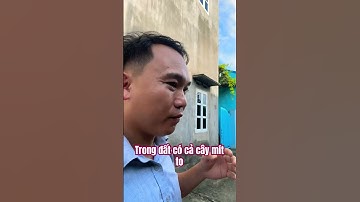 Trong đất có cả cây mít to