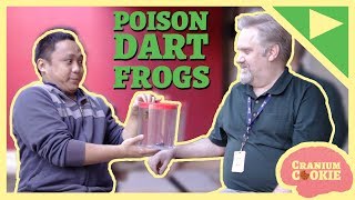 Poopy Poison Dart Frogs! | Cranium Cookie | Shaftesbury Kids